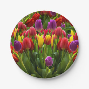 Prato De Papel Tulipas Brilhantes