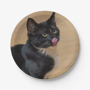 Prato De Papel Um Bom Lick Painterly