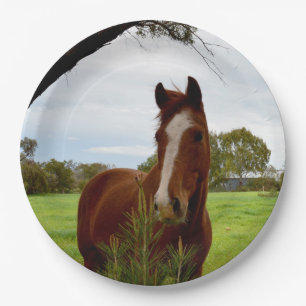 Prato De Papel "Um Chifre da Natureza: Um Chestnut Horse e Banksi