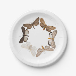 Prato De Papel Uma placa da traça