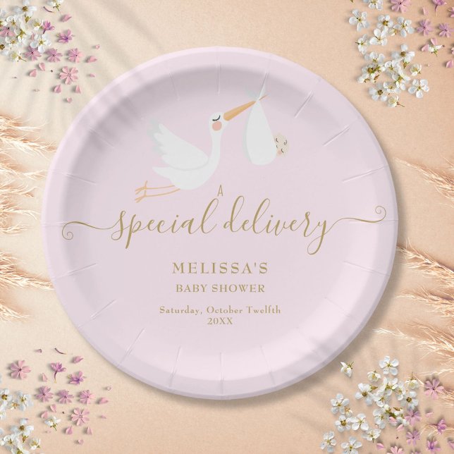 Prato De Papel Uma Remessa Especial de Cegonha para Chuveirinho d (A Special Delivery Stork Baby Shower Sprinkle Paper Plates)