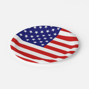 Prato De Papel United USA Flag ppcn