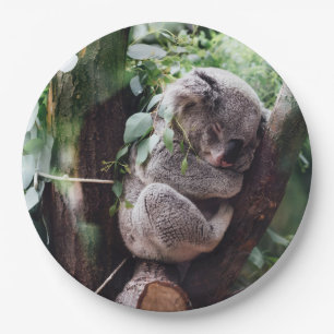 Prato De Papel Urso de Koala bonito que relaxa em uma árvore