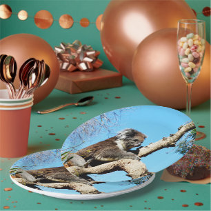 Prato De Papel Urso De Koala Na Árvore Do Pinheiro Antigo,