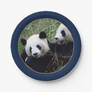 Prato De Papel Ursos gigantes comendo papel de bambu (Partido)