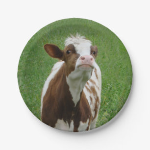 Prato De Papel Vaca leiteira na Fazenda