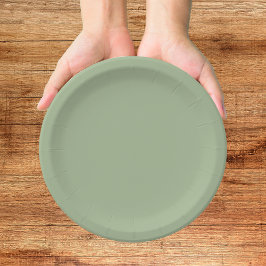 Prato de Papel Verde de Nós Nos Casamos