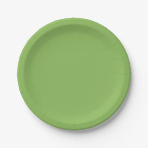 Prato De Papel Verde-repolho sólido