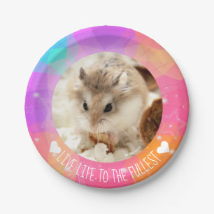 Prato De Papel Vida viva ao mais completo - hamster de Hammyville