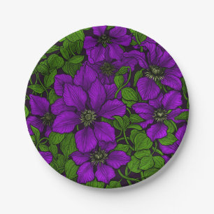 Prato De Papel Vinha-púrpura Clematis