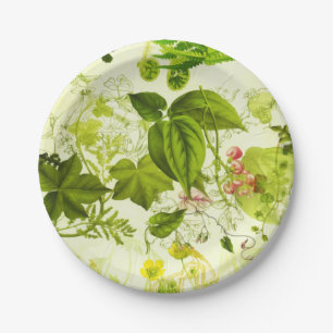 Prato De Papel Vintage Greenery Botânico Wildflower Watercolor
