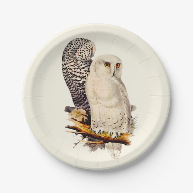 Prato De Papel Vintage Snowy Owl Drawing (Frente)