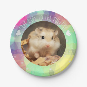 Prato De Papel Viva a vida ao máximo - Hammyville Hamsters