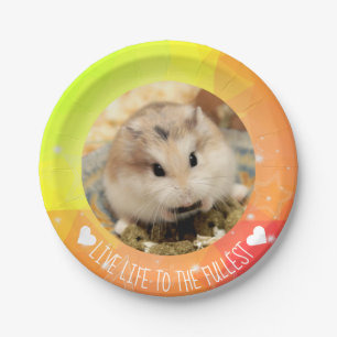 Prato De Papel Viva a vida ao máximo - Hammyville Hamsters
