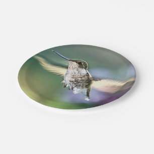 Prato De Papel Voo de Hummingbird
