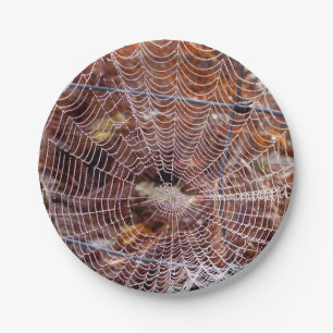 Prato De Papel Web da placa de papel européia de aranha de jardi