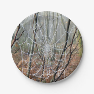 Prato De Papel Web da placa de papel européia de aranha de jardi