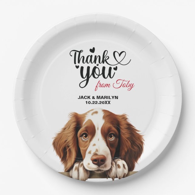Prato De Papel Welsh Springer Spaniel (Frente)
