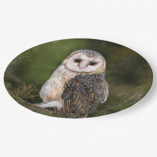 Prato De Papel Western Barn Owl - Imagem de Cores-d'Água 
