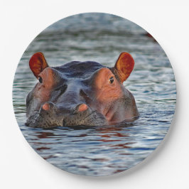 Prato De Papel Wildlife Hippo Water Photo