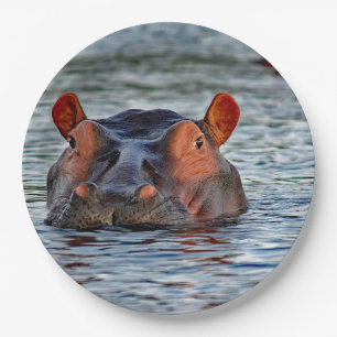 Prato De Papel Wildlife Hippo Water Photo