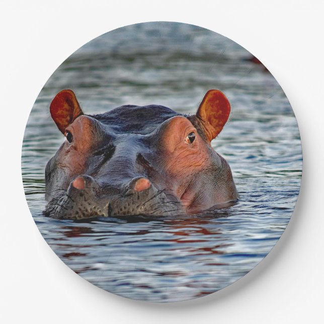 Prato De Papel Wildlife Hippo Water Photo (Frente)