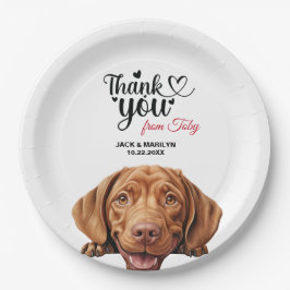 Prato De Papel Wirehaired Vizla