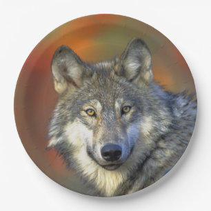 Prato De Papel Wolf_2015_0302