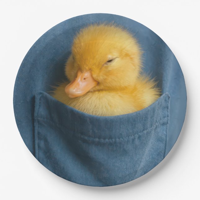 Prato De Papel Yellow Duckling In a T-shirt Pocket (Frente)