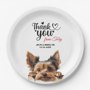 Prato De Papel Yorkshire Terrier