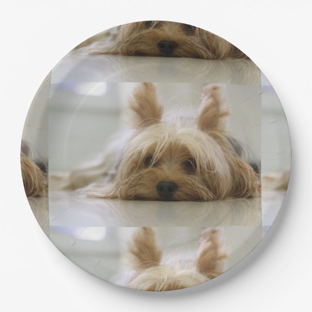 Prato De Papel Yorkshire terrier flat.png (Frente)