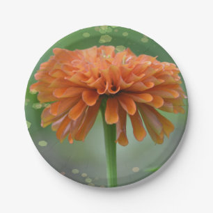 Prato De Papel Zazzled Zinnia Paper Plate