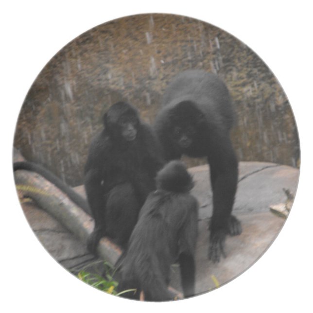 Prato Mercadorias do comensal do Aranha-Macaco (Frente)