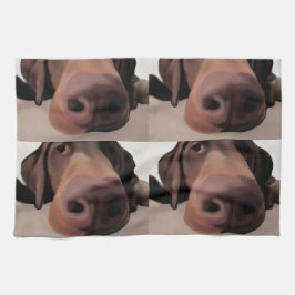 Prato Nariz de cão de pano da cozinha