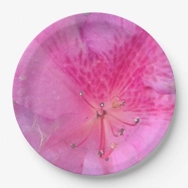 Prato Redondo de 9 Polegadas  (Frente)