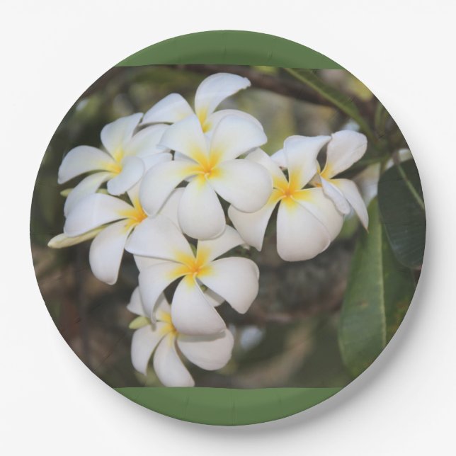 pratos com flores tropicais, plumeria (Frente)