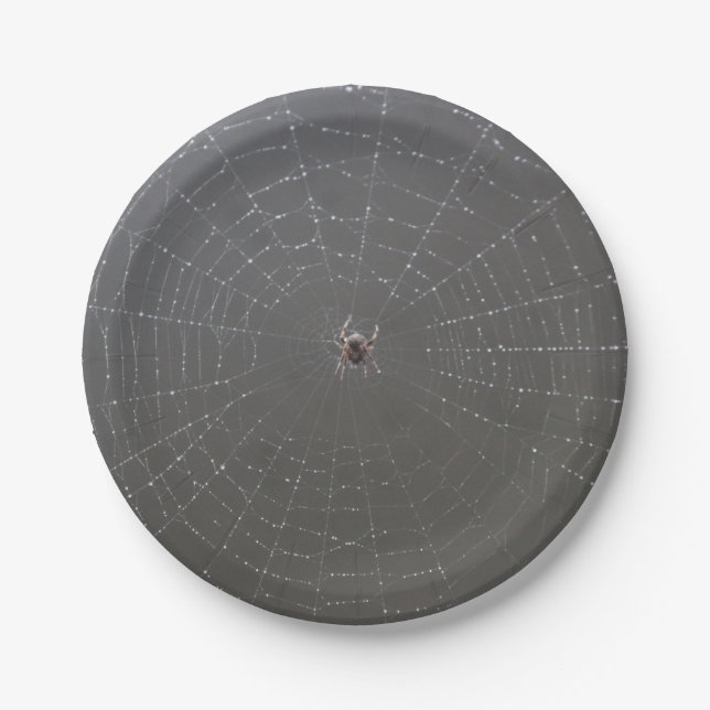 Pratos de Papel Aranha (Frente)