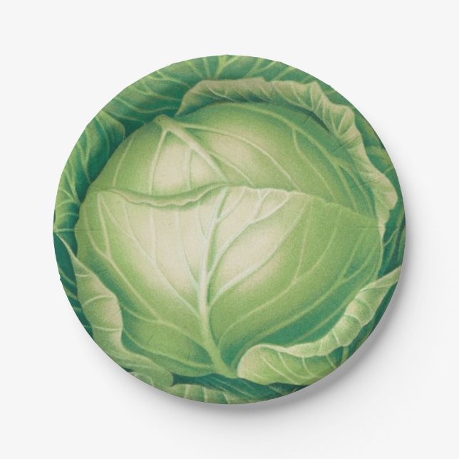 Pratos de Papel Cabbageware (Frente)