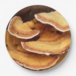 Pratos de Papel de Fungos Stereum Hirsutum