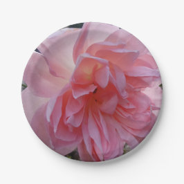 Pratos de papel de rosa rosa para sua festa ou eve