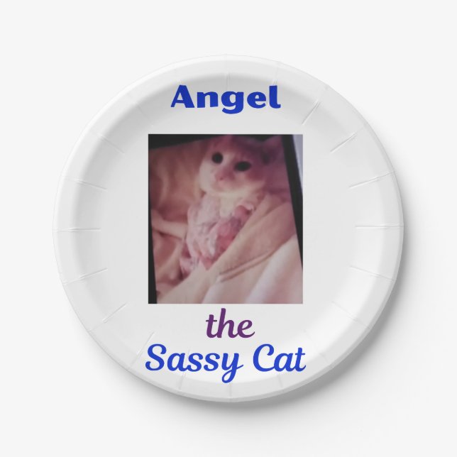 Pratos de Papel do Anjo o Gato Sassy (Frente)
