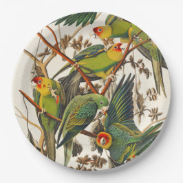 Pratos de papel exclusivos para aves tropicais