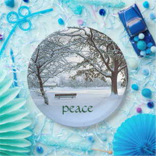 pratos de papel, PARQUE COBERTO DE NEVE/BANCO SOLI