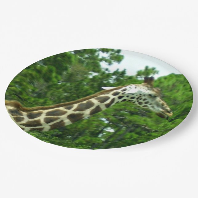 Pratos de Papel Perfil de Girafa (Inclinado)
