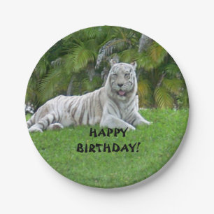 Pratos de Papel Tigre Branco Sorridente e Palmeira
