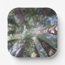 Pratos e Tigelas de Papel California Redwoods Olhe