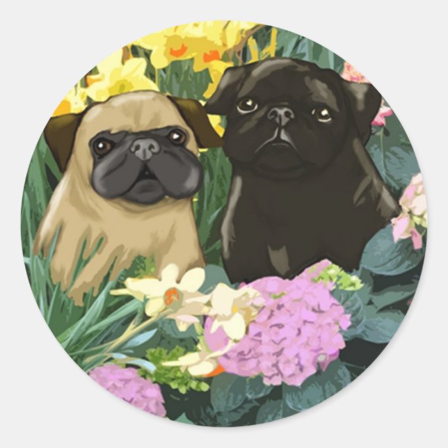 Precioso Puxe os adesivos (Frente)