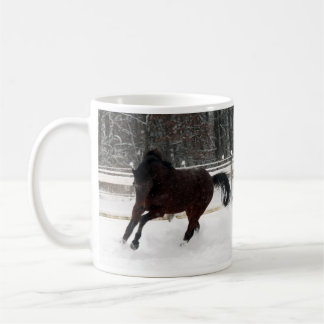 Precipitação através da caneca da neve
