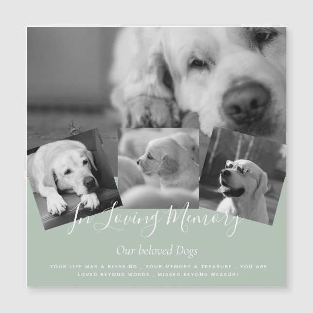 Preços mais baixos! 35 FOTOS Colagem de texto pers (Frente)