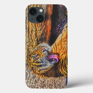 Preening Sumatran Tiger Big Cat Willife Art